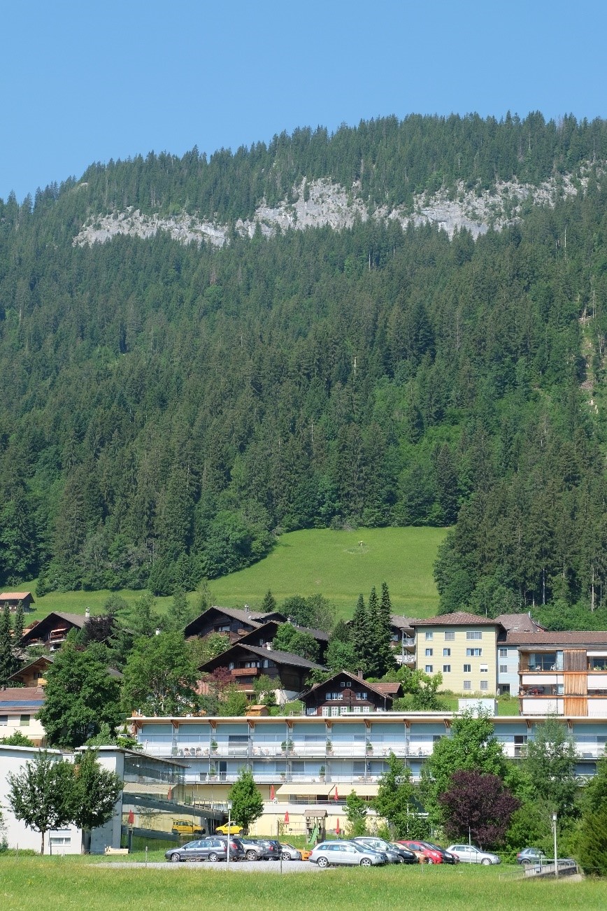 Gerinnerelevanter Schutzwald
